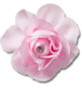 Pink Fabric Flower With Pearl