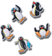 Pingu 5 Pack