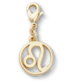 Leo Charm