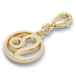 Leo Charm