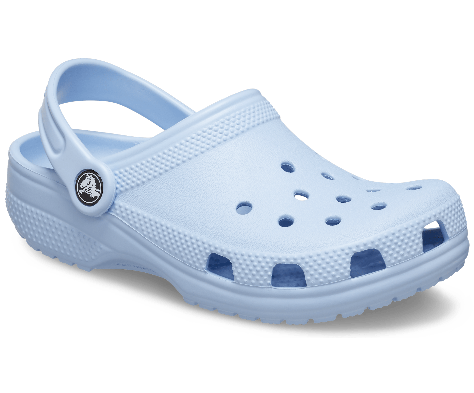 Crocs Classic Clog Unisex C6 10