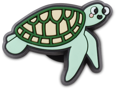 Tiny Sea Turtle