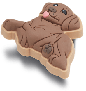 Аксессуары Jibbitz Brown Lab Puppy — фото 2