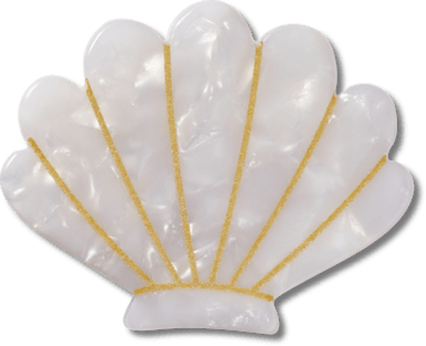 White and Gold Seashell