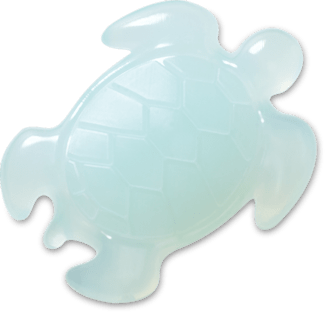 Squish Filled Turtle