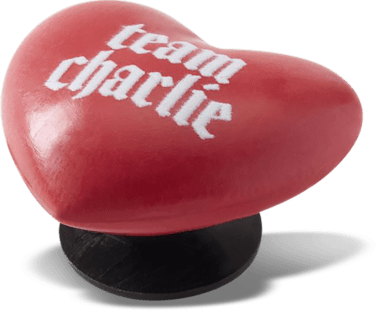Аксессуары Jibbitz The Twilight Saga Team Charlie — фото 2