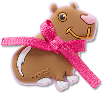 Аксессуары Jibbitz Coquette Capybara — фото 1