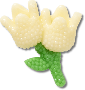 Аксессуары Jibbitz Beaded Tulips — фото 1