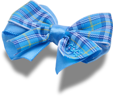 Аксессуары Jibbitz Blue Plaid Bow — фото 2