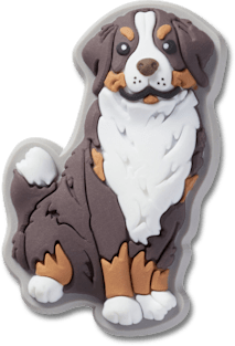 Bernese mountain dog shoes shop