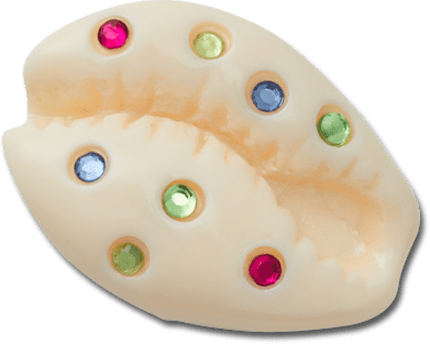 jibbitz-gem-puka-shell