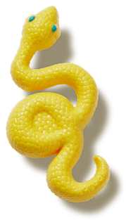ケージ・アクセサリー Matu Dimensional Snake Jibbitz™ charms - Crocs
