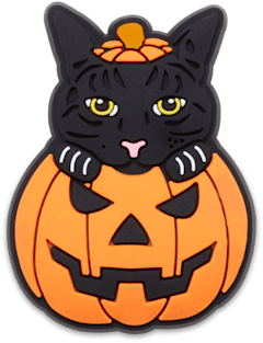 Halloween Kitty
