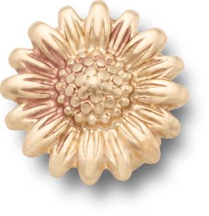 Gold Sunflower Sandal C Charm