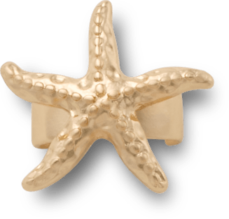 Gold Starfish Sandal C Charm