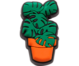 Monstera Plant Jibbitz™ charms - Crocs