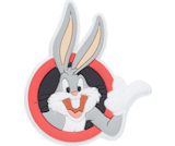 Looney tunes shop croc charms