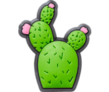Cactus croc charms store