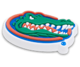 Florida gators sales crocs jibbitz